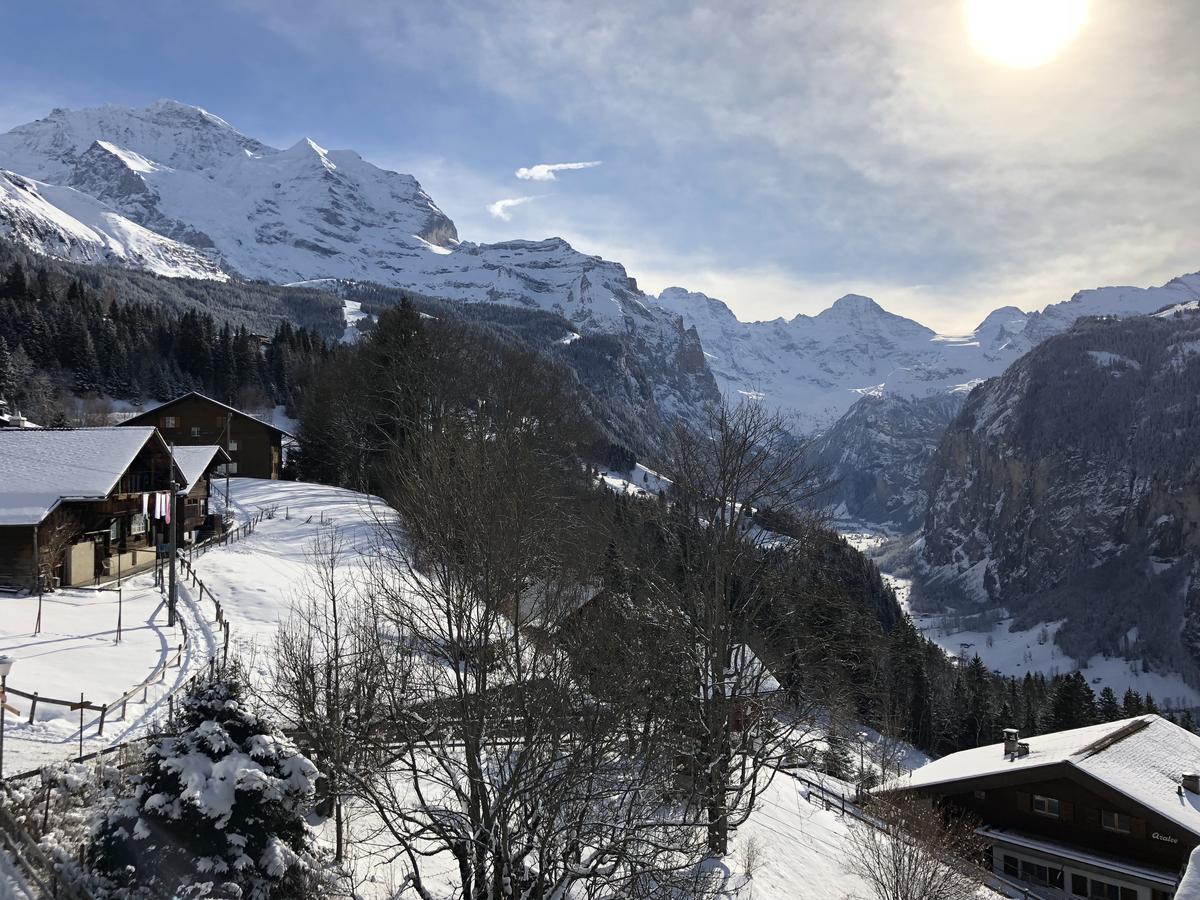 Chalet Bergkristall Wengen Kültér fotó